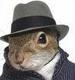   skysquirrel