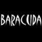   BarracudaSSAT